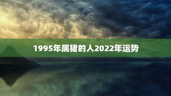 1995年属猪的人2022年运势