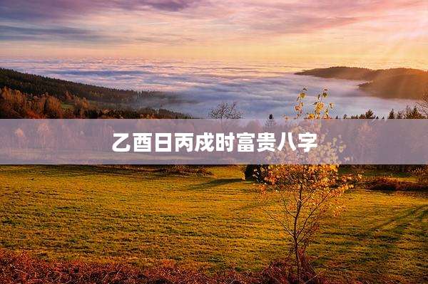 乙酉日丙戍时富贵八字
