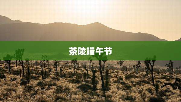 茶陵端午节