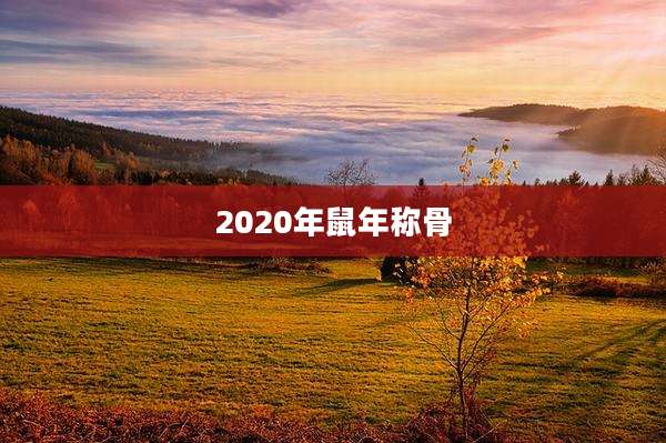 2020年鼠年称骨