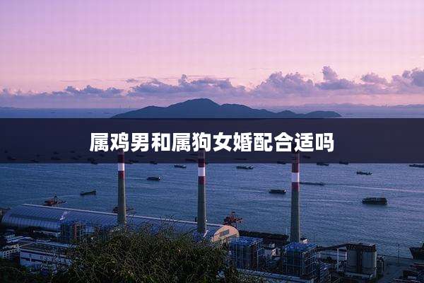 属鸡男和属狗女婚配合适吗