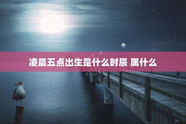 凌晨五点出生是什么时辰 属什么