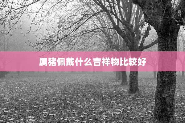 属猪佩戴什么吉祥物比较好
