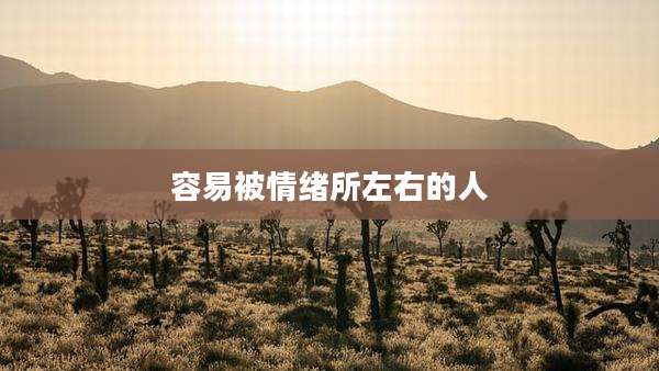 容易被情绪所左右的人
