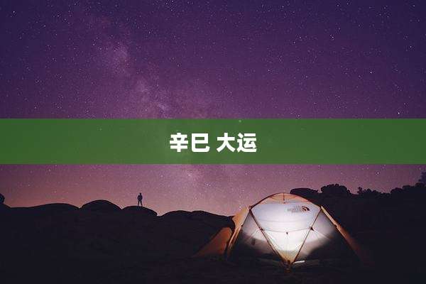辛巳 大运