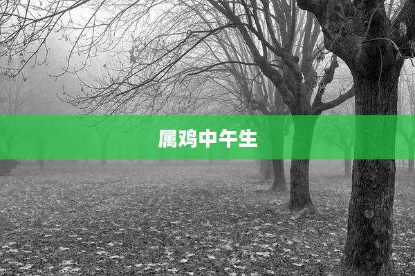 属鸡中午生