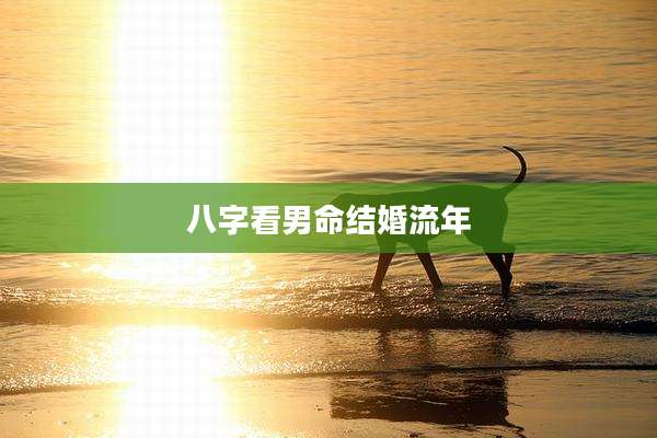 八字看男命结婚流年