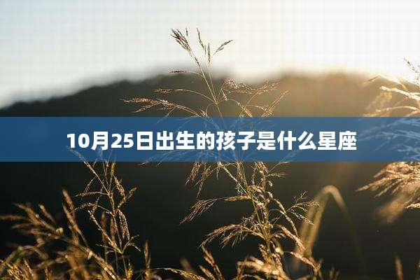 10月25日出生的孩子是什么星座