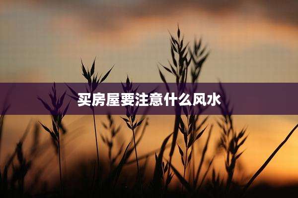 买房屋要注意什么风水