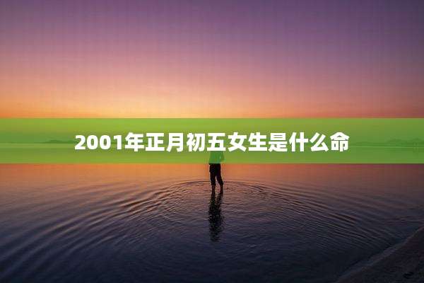 2001年正月初五女生是什么命