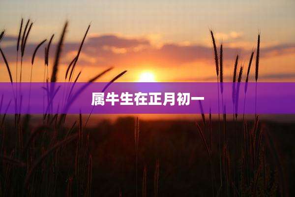 属牛生在正月初一