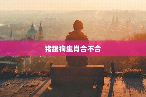 猪跟狗生肖合不合