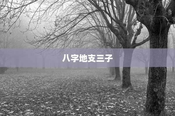 八字地支三子