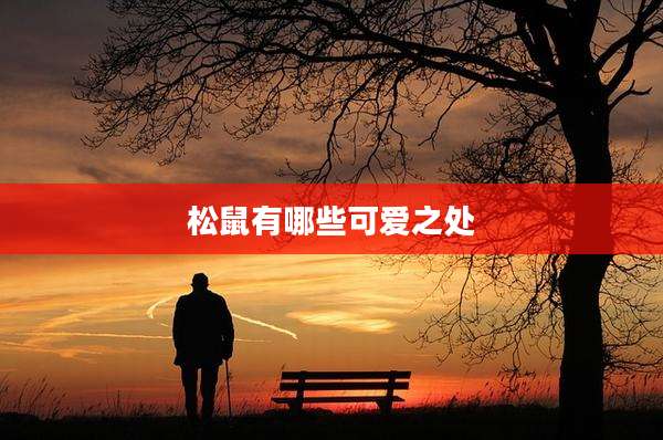 松鼠有哪些可爱之处