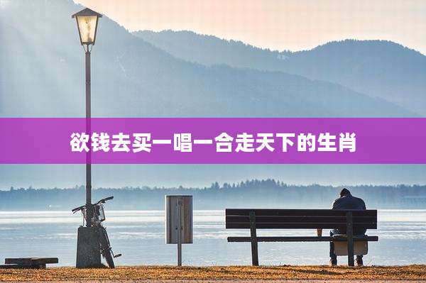 欲钱去买一唱一合走天下的生肖