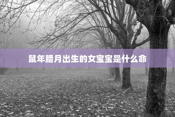 鼠年腊月出生的女宝宝是什么命