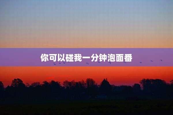 你可以碰我一分钟泡面番