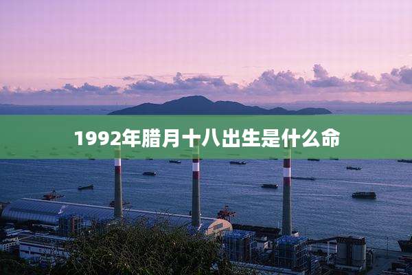 1992年腊月十八出生是什么命