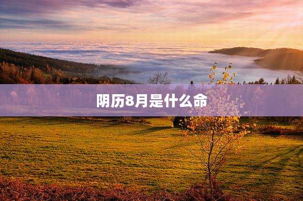 阴历8月是什么命