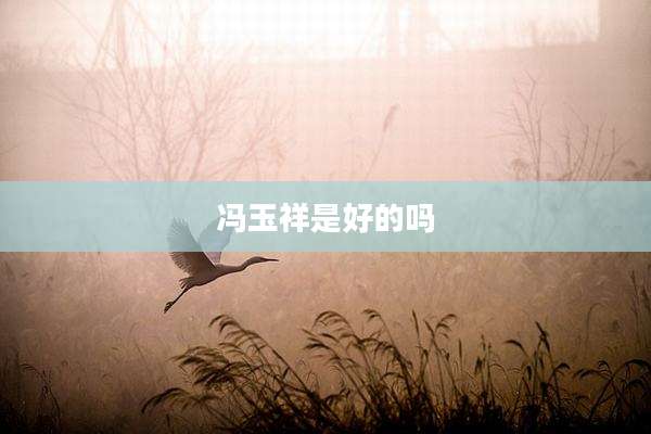 冯玉祥是好的吗