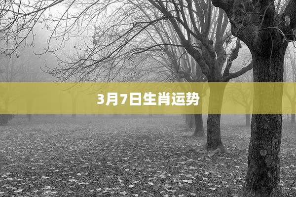 3月7日生肖运势