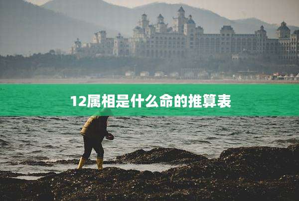 12属相是什么命的推算表