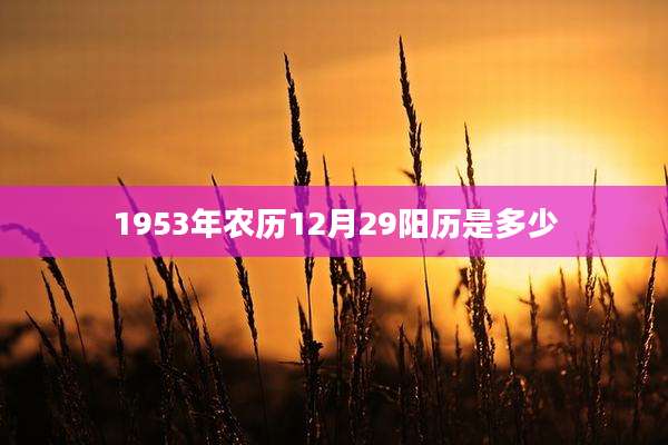 1953年农历12月29阳历是多少
