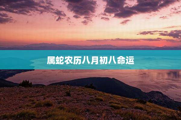 属蛇农历八月初八命运
