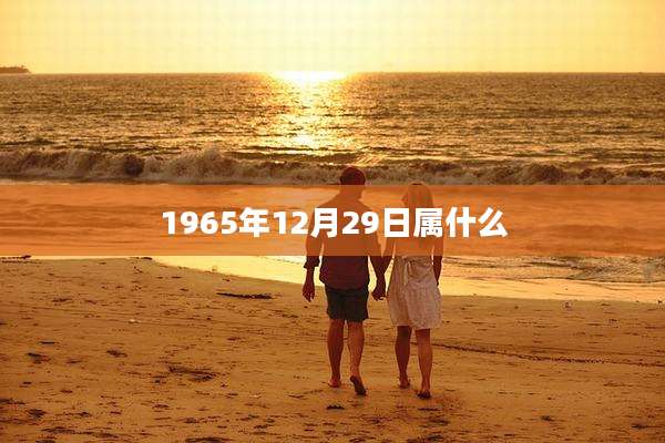 1965年12月29日属什么