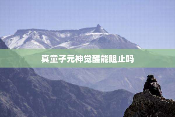 真童子元神觉醒能阻止吗