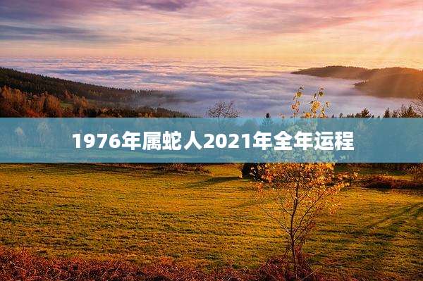 1976年属蛇人2021年全年运程