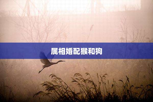 属相婚配猴和狗