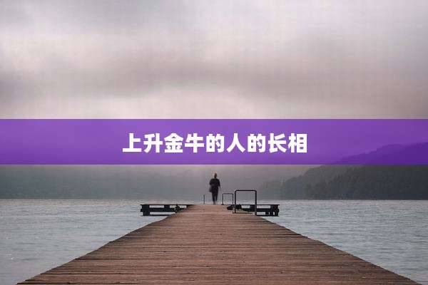 上升金牛的人的长相