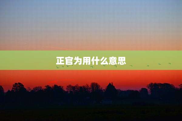 正官为用什么意思