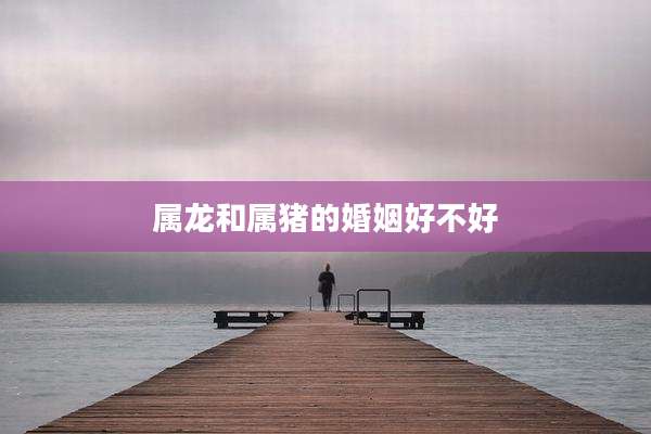 属龙和属猪的婚姻好不好