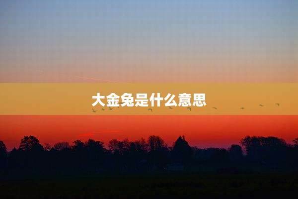 大金兔是什么意思