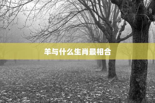 羊与什么生肖最相合