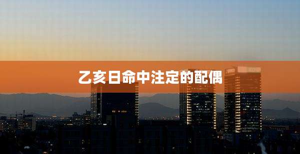 乙亥日命中注定的配偶