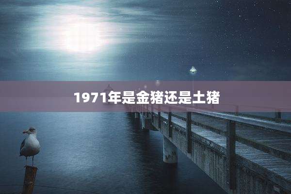 1971年是金猪还是土猪