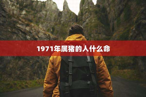 1971年属猪的人什么命