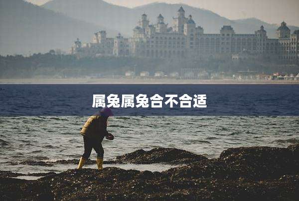 属兔属兔合不合适