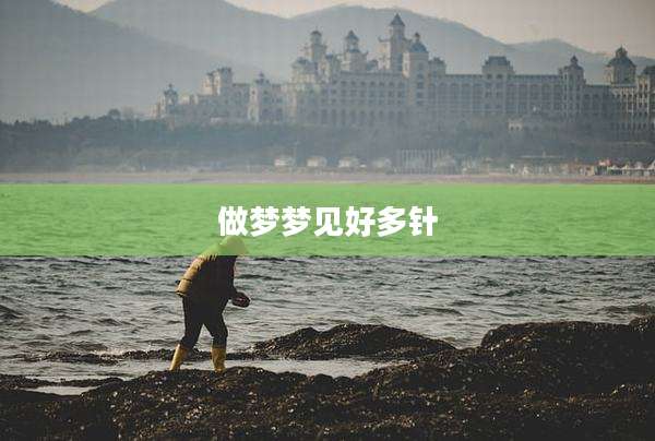 做梦梦见好多针