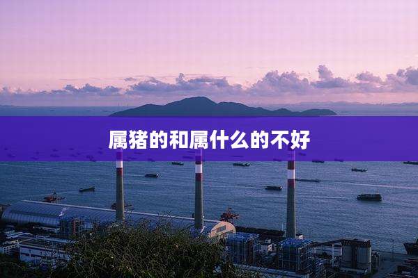 属猪的和属什么的不好