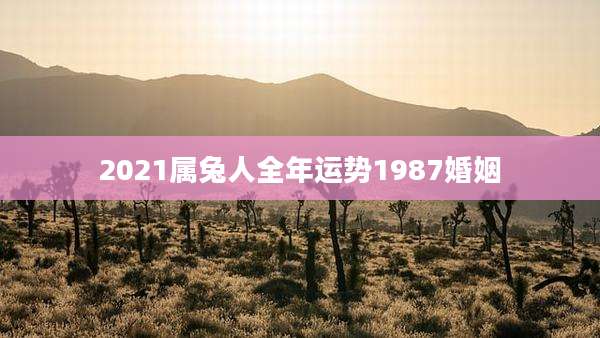 2021属兔人全年运势1987婚姻