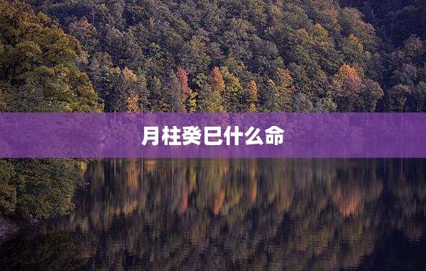 月柱癸巳什么命