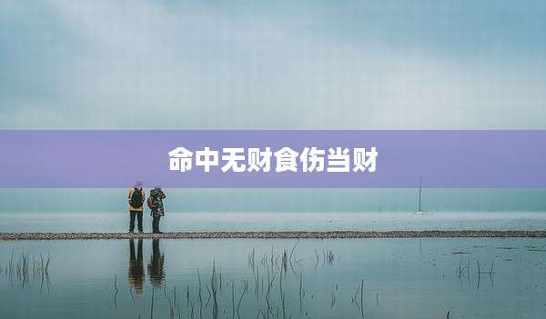 命中无财食伤当财