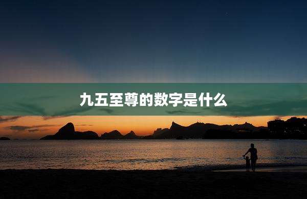 九五至尊的数字是什么