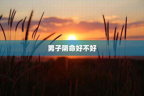 男子阴命好不好