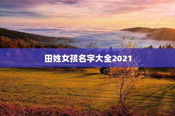 田姓女孩名字大全2021
