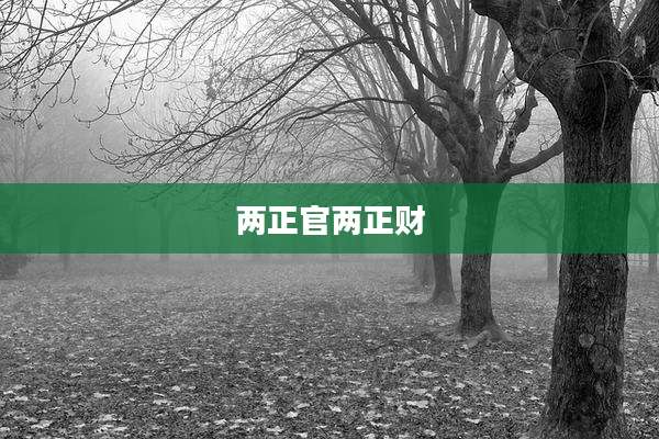 两正官两正财